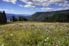 Scenic_CO_EngineerMnt_20240815_2888-2890