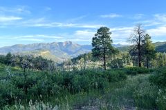 Scenic_CO_PerinsPeak_20240806_0070