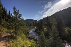 Scenic_CO_PiedraRiver_20240731_5651-5653