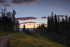 Scenic_CO_SliderockToKennebec_20240816_3122-3124