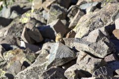 Scenic_CO_SliderockToKennebec_20240816_3311-3313
