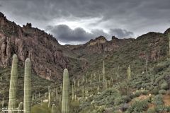 Scenic_AZ_MinersNeedleLoop_20230123_5484-5486