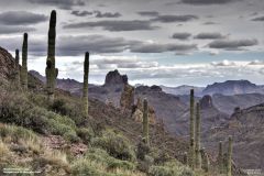 Scenic_AZ_MinersNeedleLoop_20230123_5781-5783