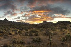 Scenic_AZ_MinersNeedleLoop_20241018_3520-3537