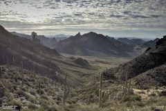 Scenic_AZ_MinnersNeedleLoop_20221118_0740-0742