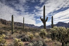 Scenic_AZ_MinnersNeedleLoop_20221118_0908-0910