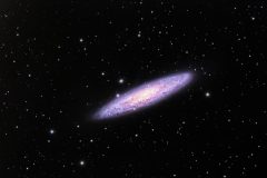AP_LeoLibbey_SculpterGalaxy
