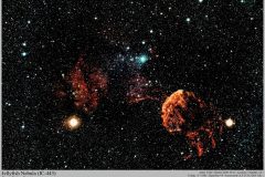 Astronomy_IC-443_2020