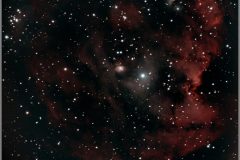 Astronomy_NGC-2174_20200216
