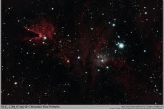 Astronomy_NGC-2264_2024-01