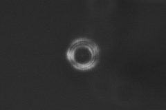 C5_InsideFocus