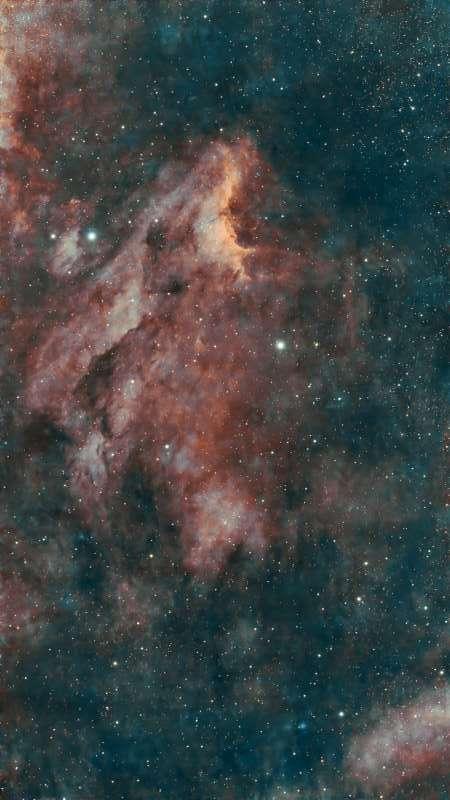 Astronomy_NGC-7000_Pelican-Nebula_2026-10-06_79min_600x800