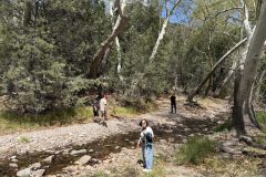Trail-to-Leopard-Frog-pond-at-SWRS
