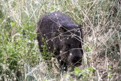 Scenic_AZ_SilverPeak_20260416_3469-3471