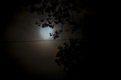 DSC_4626-edit