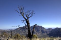 Scenic_AZ_HerbMartyr-SnowshedLoop_20260415_3238-3240