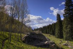 Scenic_CO_Bear-Creek_20260520_5235-5237_16x9