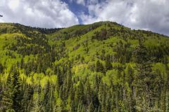 Scenic_CO_Bear-Creek_20260520_5451-5453_16x9