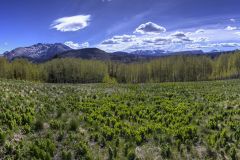Scenic_CO_Burro-Bridge-Trail_20260521_5620-5676_16x9