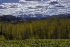 Scenic_CO_Burro-Bridge-Trail_20260521_5683-5685_16x9