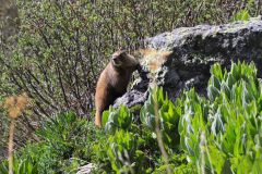 Scenic_CO_Ice-Lake_20260527_2443_16x9