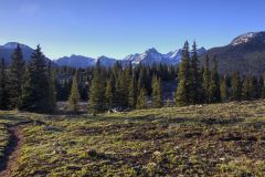 Scenic_CO_Molas-Pass_20260523_6160-6162_16x9