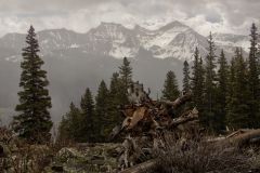 Scenic_CO_WilsonMeadows_20260517_4623-4625_16x9