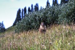 Scenic_CO_EngineerMnt_20240815_2603-2605_4x3