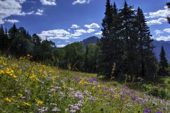 Scenic_CO_EngineerMnt_20240815_2768-2770_4x3