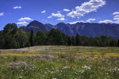 Scenic_CO_EngineerMnt_20240815_3086-3088