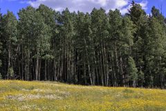 Scenic_CO_EngineerMnt_20240815_3098-3100_4x3