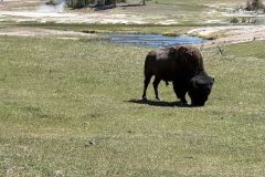 Yellowstone_IMG_0577