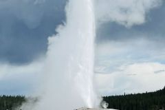 Yellowstone_IMG_1433